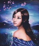 (image for) Cherry Blossom Night
